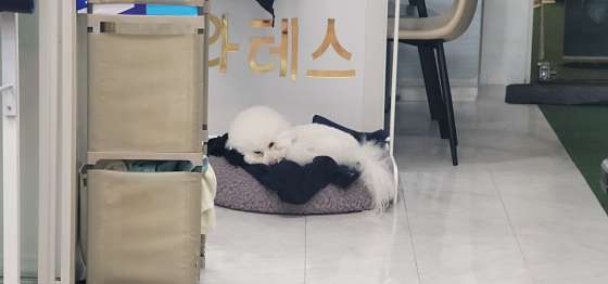 서울.강서구-화곡동-헬라테스pt&필라테스-11 | 실내이미지 | 마짱