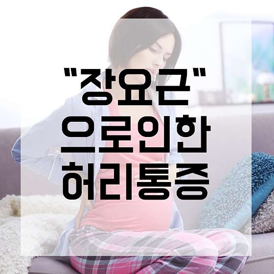 경기.안산시-단원구-라인미바디컨설팅-11 | 실내이미지 | 마짱