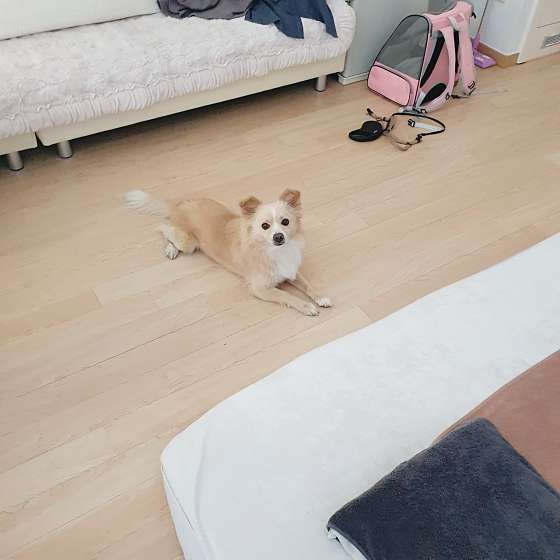 부산.수영구-광안동-다겸아로마테라피-6 | 실내이미지 | 마짱