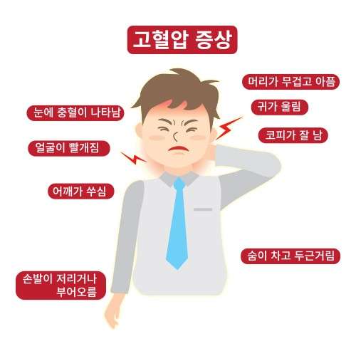 서울.강남구-역삼동-IN THE VIP-5 | 실내이미지 | 마짱