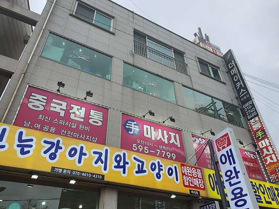경기.남양주시-화도읍-중국전통수-1 | 실내이미지 | 마짱