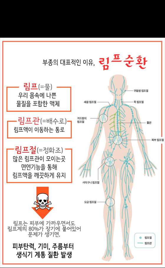 인천.연수구-송도동-BnW피지컬테라피-5 | 실내이미지 | 마짱