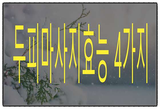 경기.군포시-금정동-싸바이-2 | 실내이미지 | 마짱