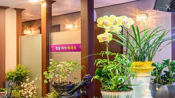 서울.강북구-수유동-청담타이마사지-1 | 실내이미지 | 마짱
