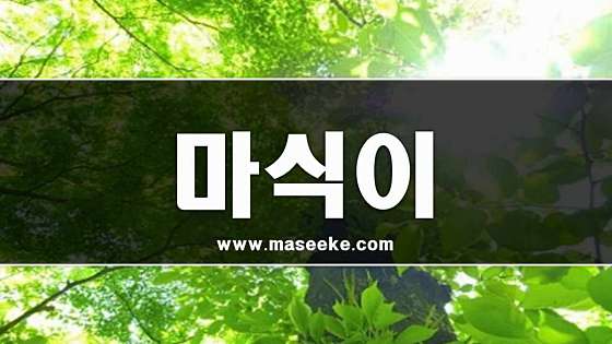 대구.수성구-황금동-애프터눈-13 | 실내이미지 | 마짱