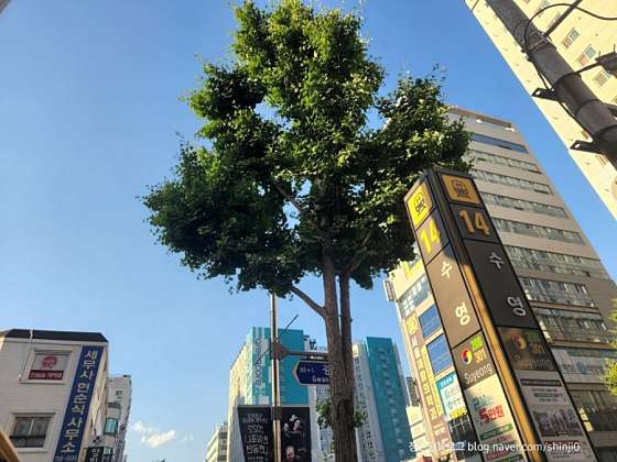 부산.수영구-광안동-다겸아로마테라피-11 | 실내이미지 | 마짱