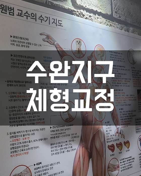 광주.광산구-수완동-몽-13 | 실내이미지 | 마짱