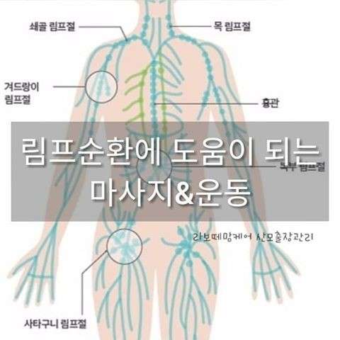 서울.강남구-역삼동-IN THE VIP-7 | 실내이미지 | 마짱