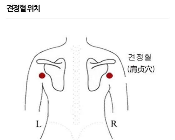 경남.창원시-진해구-진약손전신관리에스테틱-2 | 실내이미지 | 마짱