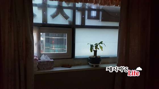 경기.안산시-단원구-중국전통-92 | 실내이미지 | 마짱