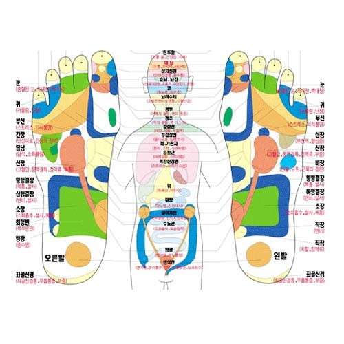 경기.의정부시-녹양동-중국정통마사지-9 | 실내이미지 | 마짱