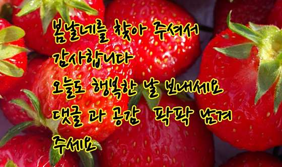 강원.속초시-교동-몽타이-8 | 실내이미지 | 마짱
