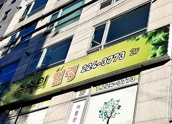 경기.수원시-팔달구-숲속의 힐링-0 | 실내이미지 | 마짱