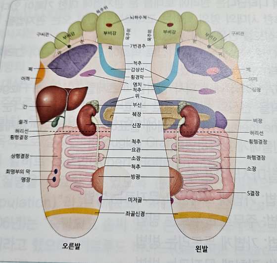 경기.수원시-권선구-행복한안마사-5 | 실내이미지 | 마짱