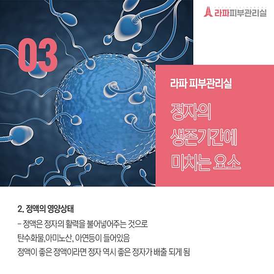 충남.아산시-배방읍-라파피부관리실-11 | 실내이미지 | 마짱