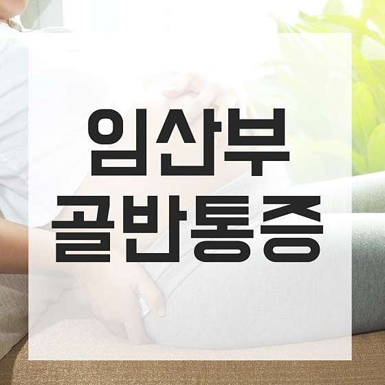 경기.안산시-단원구-라인미바디컨설팅-17 | 실내이미지 | 마짱