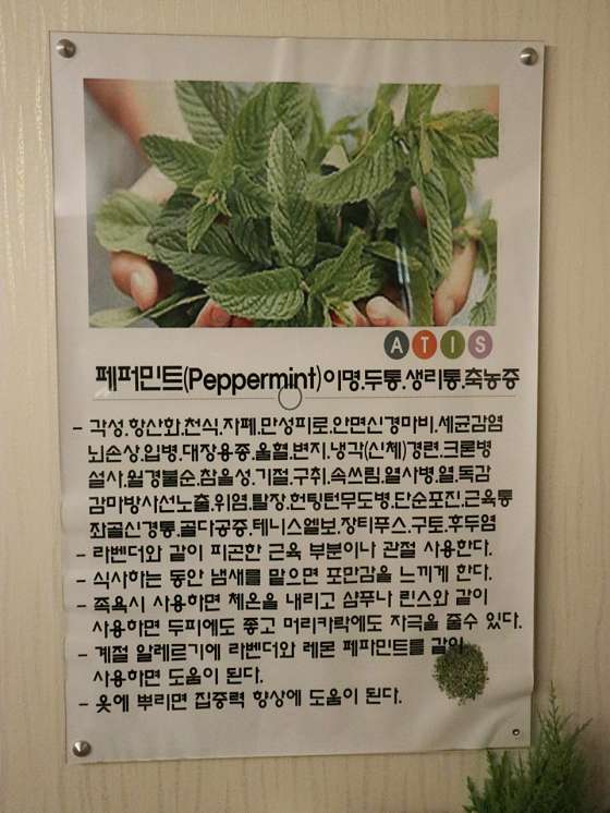 부산.남구-대연3동-엠투마사지-14 | 실내이미지 | 마짱