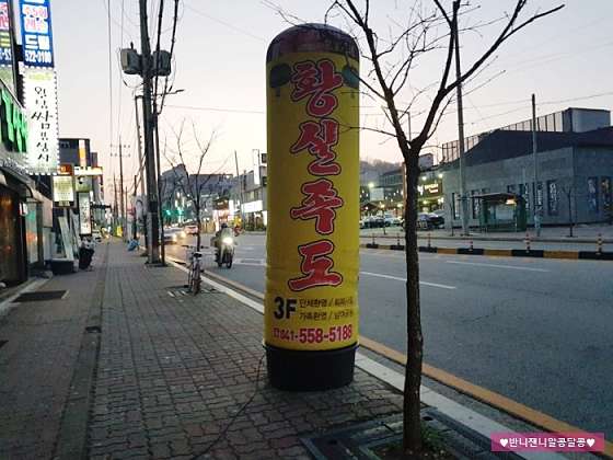 충남.천안시-서북구-황실족도-13 | 실내이미지 | 마짱