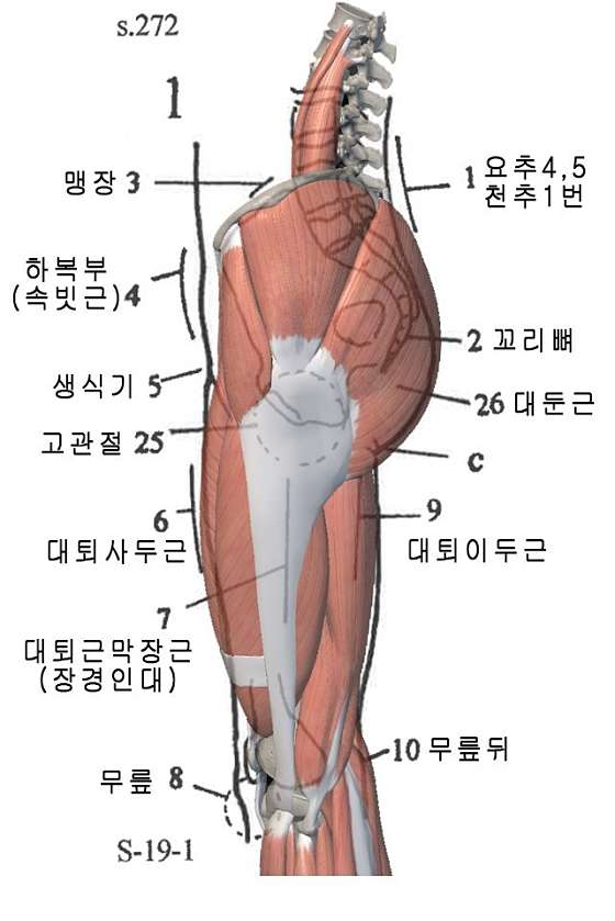 서울.마포구-도화동-키프러스안마원-16 | 실내이미지 | 마짱