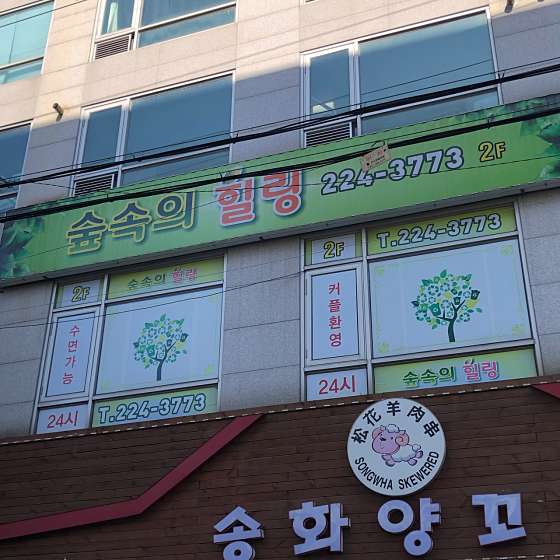 경기.수원시-팔달구-숲속의 힐링-18 | 실내이미지 | 마짱