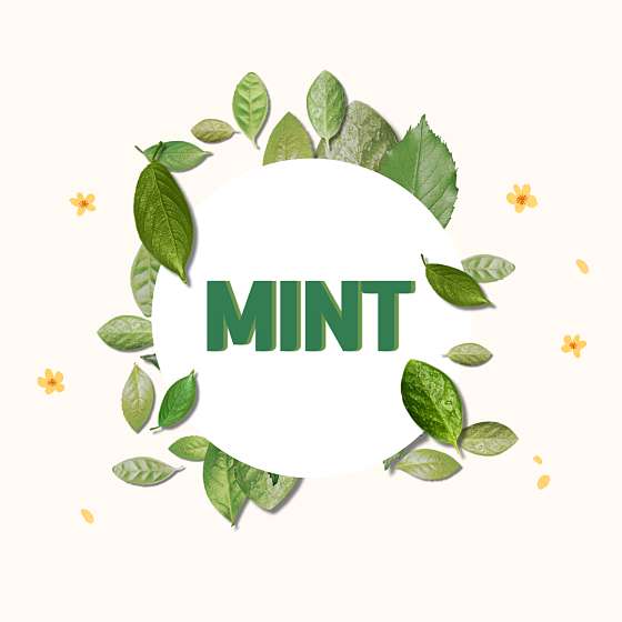 제주.제주시-애월읍-애월 민트-0 | 실내이미지 | 마짱