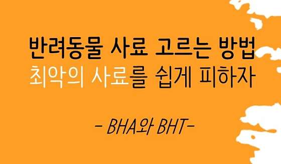 서울.강남구-역삼동-IN THE VIP-11 | 실내이미지 | 마짱