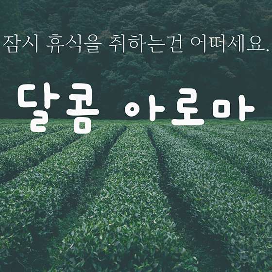 전남.광양시-중동-달콤아로마-1 | 실내이미지 | 마짱