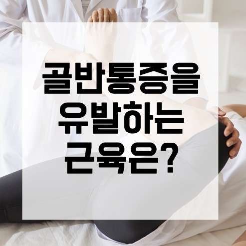 경기.안산시-단원구-라인미바디컨설팅-3 | 실내이미지 | 마짱
