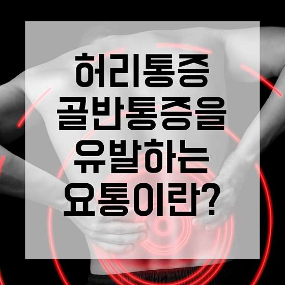 경기.안산시-단원구-라인미바디컨설팅-19 | 실내이미지 | 마짱