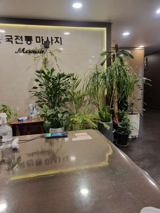 서울.동대문구-장안동-마노아마사지샵-12 | 실내이미지 | 마짱