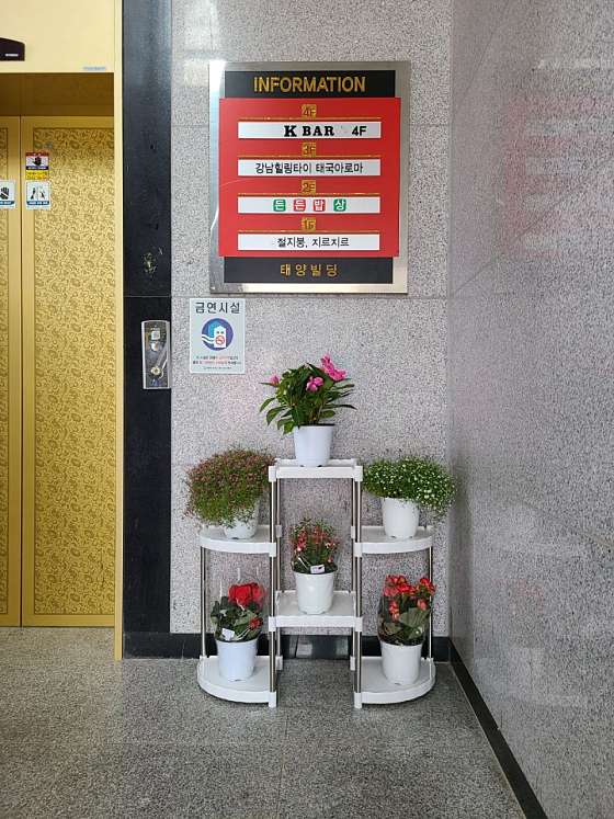 전남.무안군-삼향읍-강남힐링-10 | 실내이미지 | 마짱