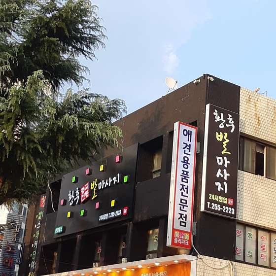 대구.북구-침산동-황후중국전통발마사지-0 | 실내이미지 | 마짱