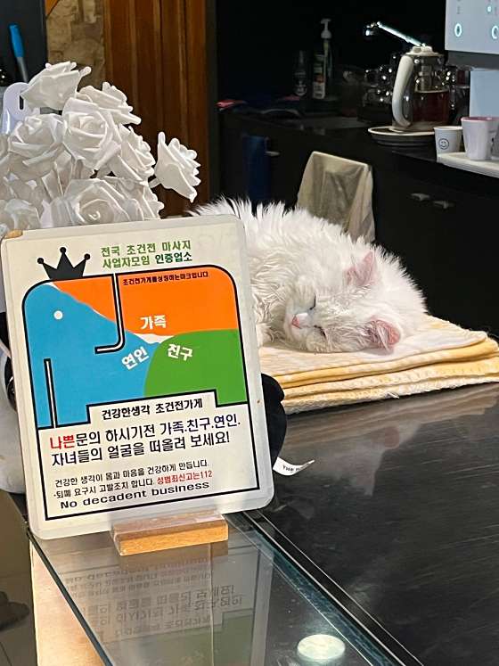 서울.동대문구-장안동-허브앤아로마 타이 마사지-15 | 실내이미지 | 마짱