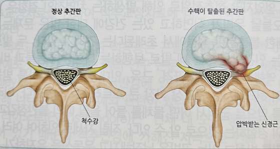 경기.수원시-권선구-행복한안마사-4 | 실내이미지 | 마짱