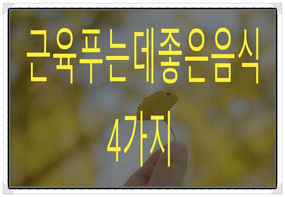 경기.군포시-금정동-싸바이-8 | 실내이미지 | 마짱