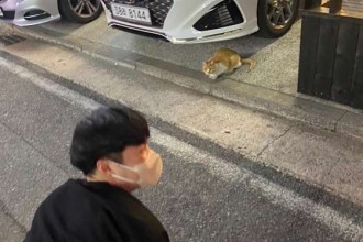 마사지,건마,벤자민타이스파